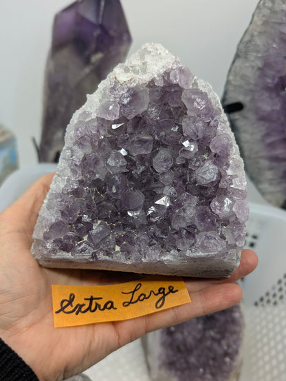Natural Amethyst cut base vug in Extra Large held in hand, showing an arched cavity of deep purple quartz crystals framed by a white quartz rim on a cut basalt base.