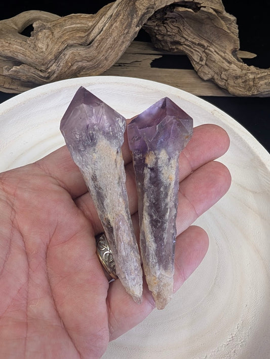 wo elongated Amethyst root crystals held in hand to show the size and the transition from white quartz to purple points