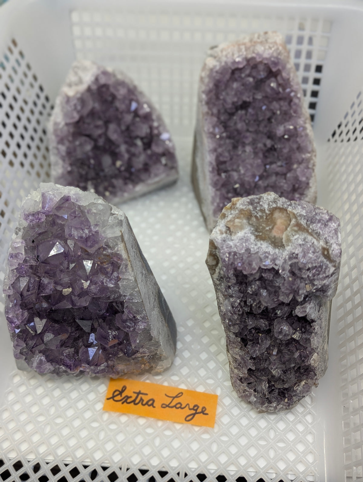 Natural Amethyst cut base vugs in Extra Large, showcasing thick basalt matrix profiles and robust deep purple quartz crystal clusters.