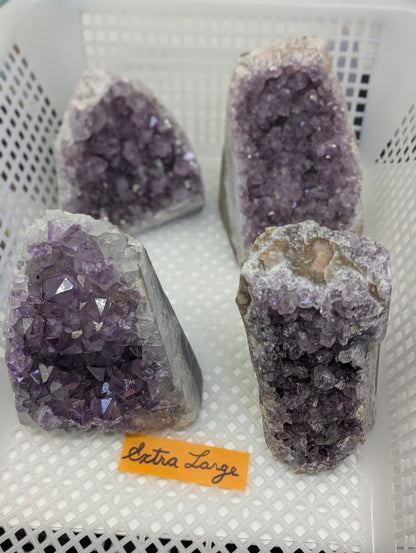 Natural Amethyst cut base vugs in Extra Large, showcasing thick basalt matrix profiles and robust deep purple quartz crystal clusters.