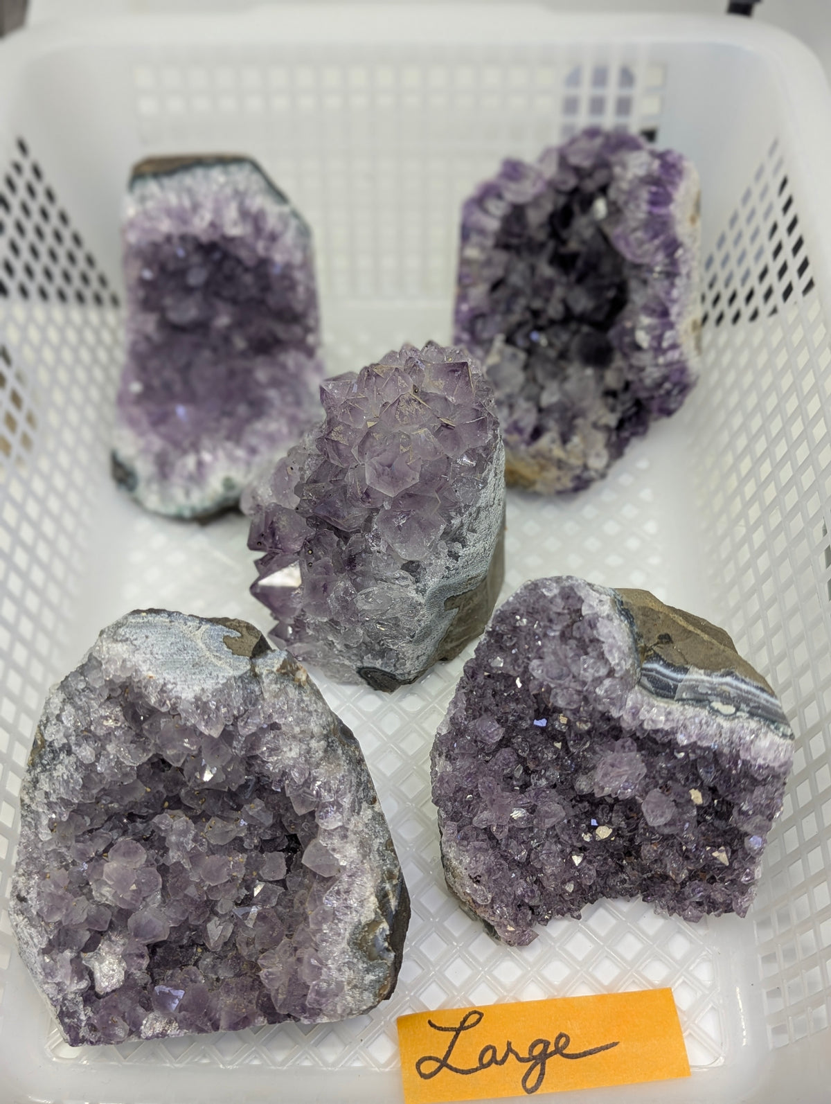 Group of natural Amethyst cut base vugs in Large, displaying deep purple quartz crystals with subtle agate banding along the basalt matrix edge.
