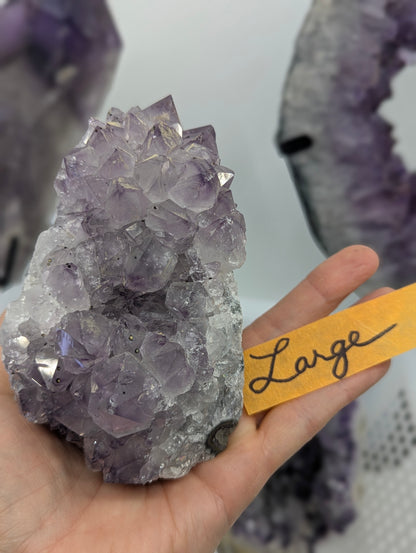 natural Amethyst cut base vugs in Large, displaying deep purple quartz crystals with subtle agate banding along the basalt matrix edge.