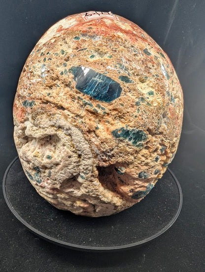 High back view highlighting multicolor jasper matrix and apatite patches