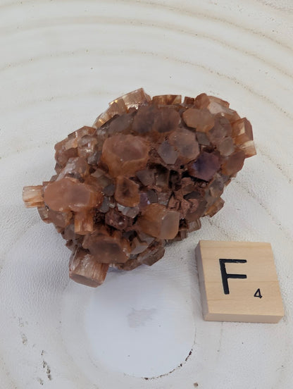100g AA Grade Aragonite Star Cluster, large radial formation with deep sienna coloration.