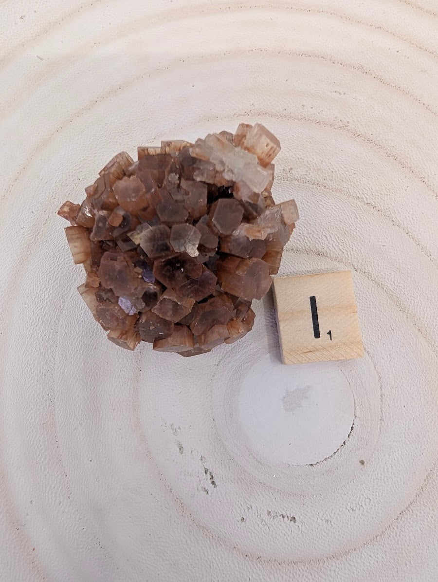 90g Premium Aragonite Star Cluster featuring translucent amber tips and geometric twinning.