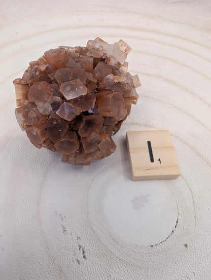 90g Premium Aragonite Star Cluster featuring translucent amber tips and geometric twinning.