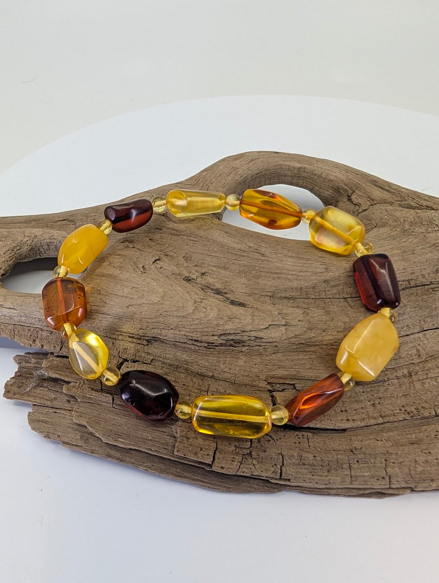 9.5mm Baltic Amber bracelet on driftwood showing natural Butterscotch, Honey, and Cognac color varieties.