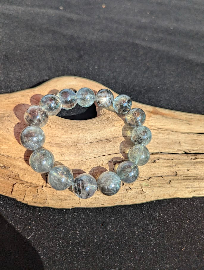 Intuitively selected 12mm AAA Grade Brazilian Girasol Black Devil Aquamarine beaded stretch bracelet displayed on driftwood.