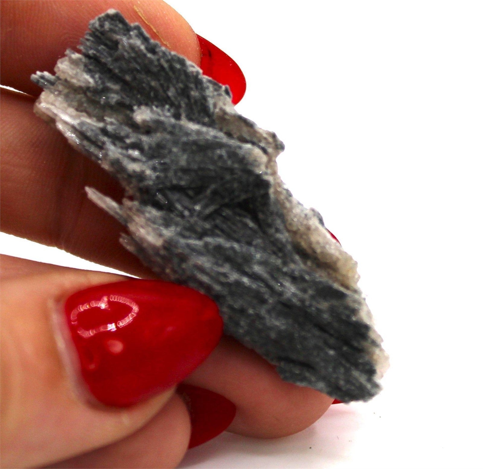 Black Kyanite with Quartz from Brazil - 5 cm - Legacy Crystals and Minerals