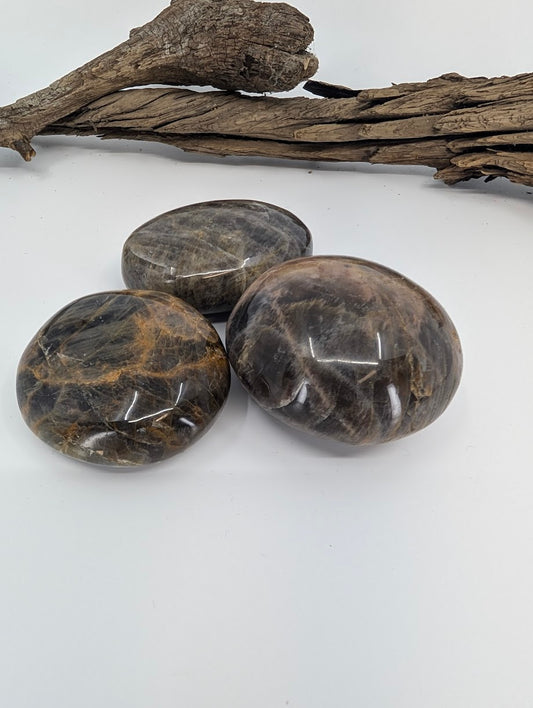 Black Moonstone palm stones polished group photo with ruler for size reference