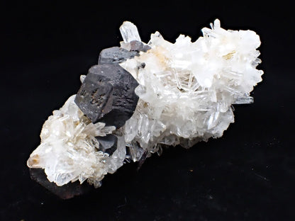 Black Pyrite and Quartz Cluster – Fengjiashan Mine, China (301g) - Legacy Crystals and Minerals