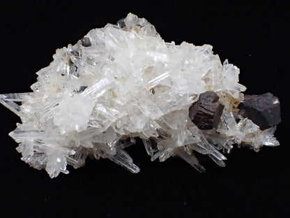 Black Pyrite and Quartz Cluster – Fengjiashan Mine, China (301g) - Legacy Crystals and Minerals