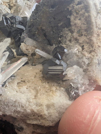 Hand holding the specimen to show small cabinet size and scale of crystals.