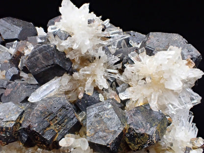 Black Pyrite & Quartz Cluster – Fengjiashan Mine (836g) - Legacy Crystals and Minerals