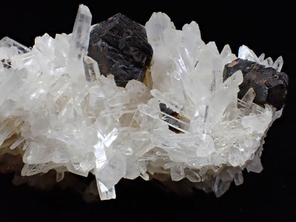 Black Pyrite with Quartz Cluster – Fengjiashan Mine, China - Legacy Crystals and Minerals