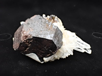 Black Pyrite with Quartz – Fengjiashan Mine (2" Specimen) - Legacy Crystals and Minerals