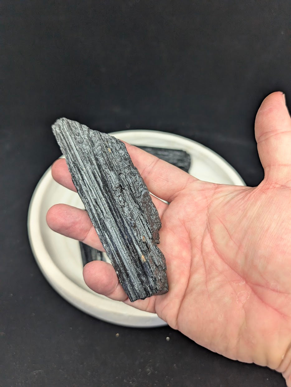 Large 15cm Black Tourmaline (Schorl) rod held in hand to demonstrate scale and high-grade collector quality.
