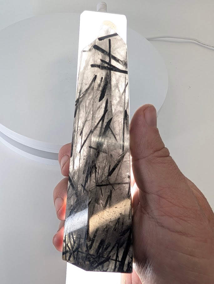 Backlit Black Tourmaline in Quartz showing clarity and inclusions