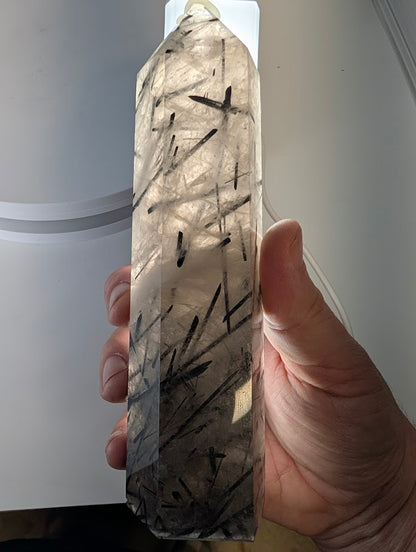 Backlit Black Tourmaline in Quartz showing clarity and structure