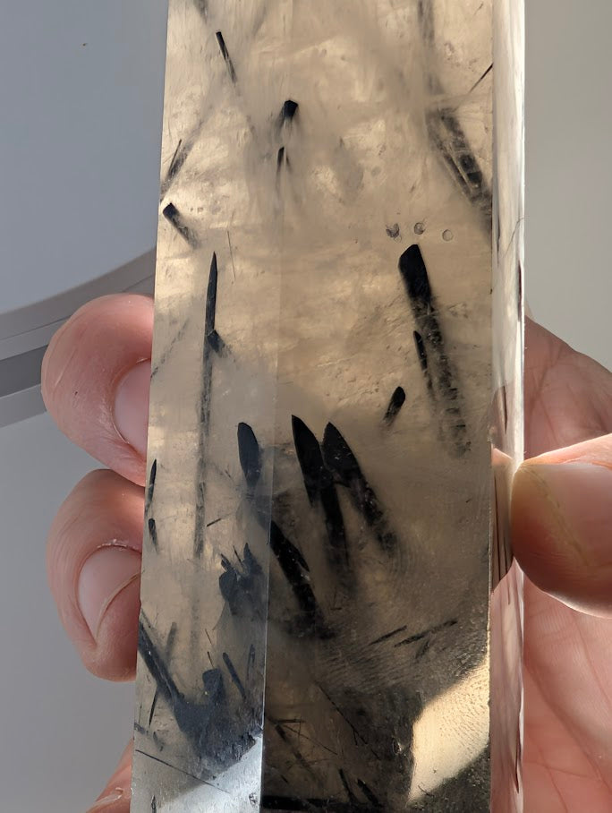 Backlit Black Tourmaline in Quartz showing clarity and structure