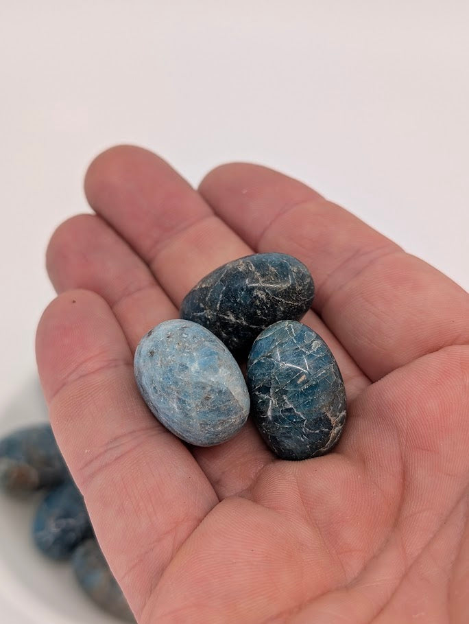 Blue Apatite tumbled stones shown in hand for scale