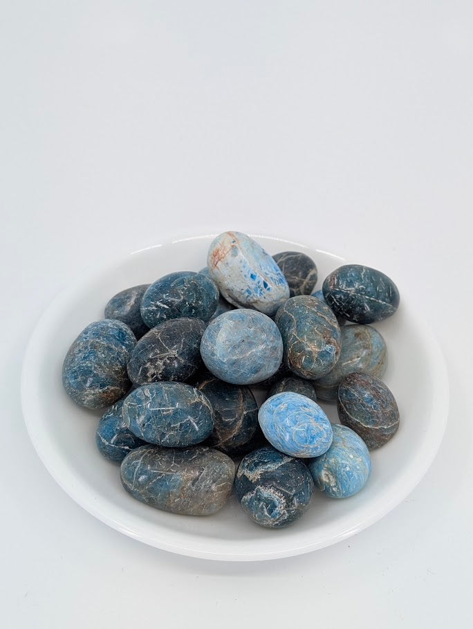 Blue Apatite tumbled stones A grade in bowl