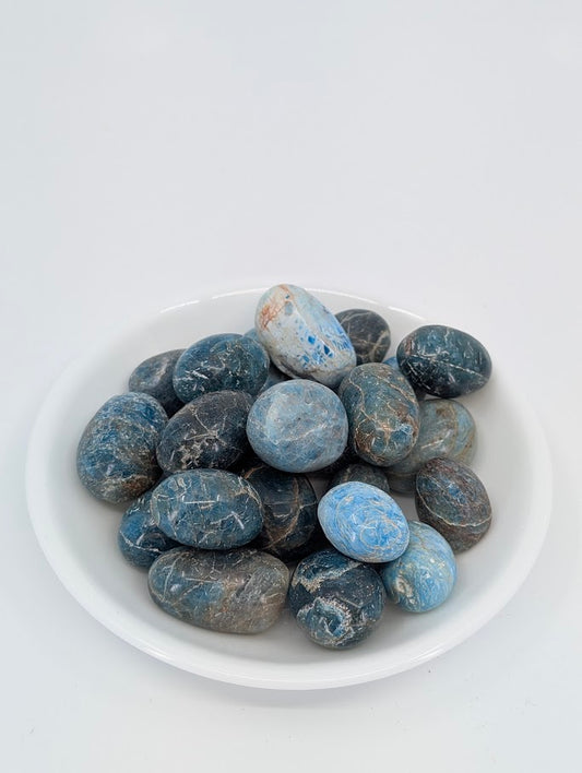 Blue Apatite tumbled stones A grade in bowl