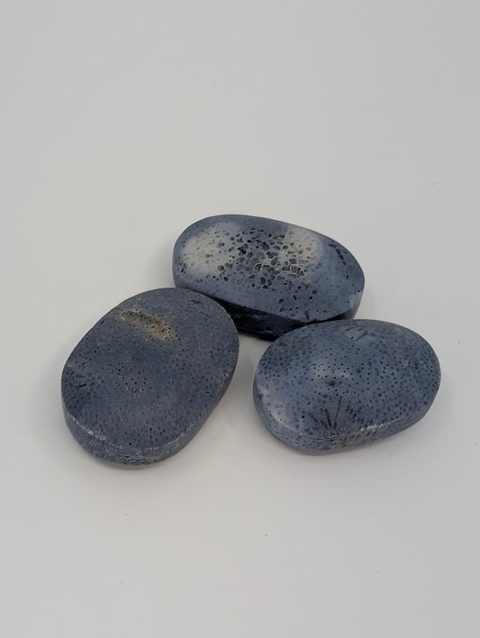 Natural Blue Coral palm stones showing fossilized coral texture and soft blue-grey coloration