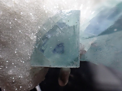 Blue Jelly Fluorite with Phantom on Druzy Quartz – YGX, China - Legacy Crystals and Minerals