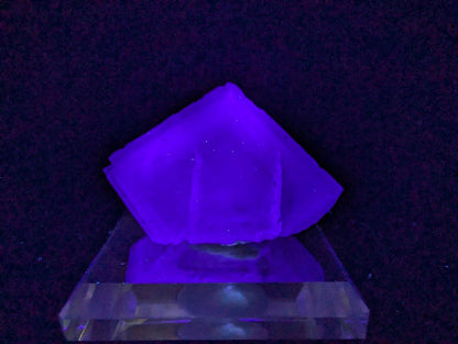 Blue Jelly Fluorite with Phantom Zoning – Yaogangxian (YGX) Mine, China - Legacy Crystals and Minerals