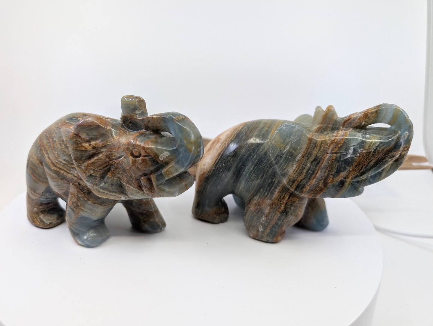 Group shot of two Argentinian Blue Onyx elephants A1 and B3 showcasing natural tectonic banding variations.