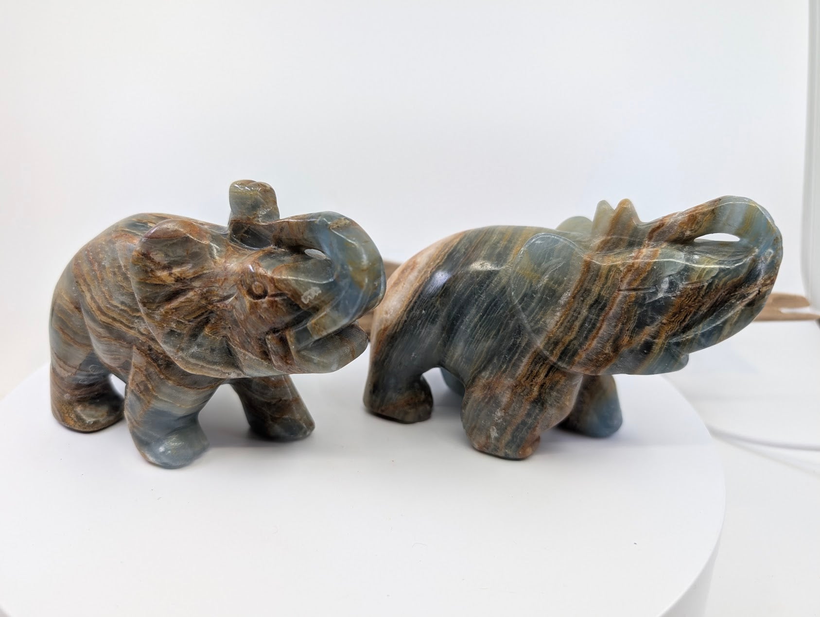 Group shot of two Argentinian Blue Onyx elephants A1 and B3 showcasing natural tectonic banding variations.