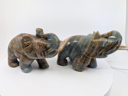 Group shot of two Argentinian Blue Onyx elephants A1 and B3 showcasing natural tectonic banding variations.