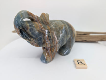 Three-quarter perspective of Blue Onyx elephant B3 showing the flow of natural banding across the head and ears