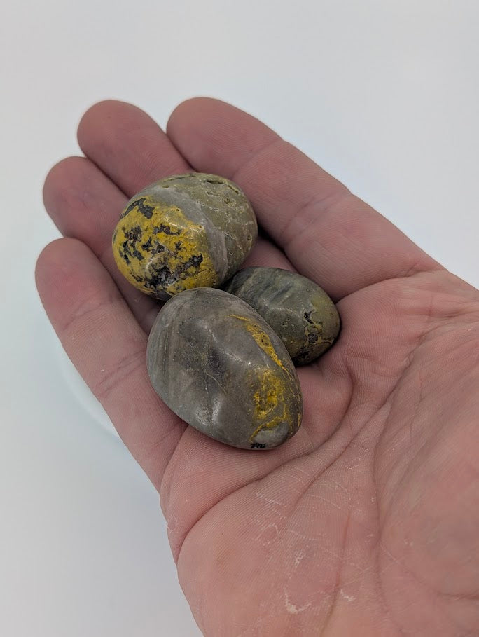 Bumblebee Jasper tumbled stones in hand for size reference