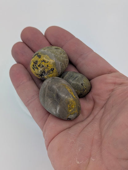 Bumblebee Jasper tumbled stones in hand for size reference