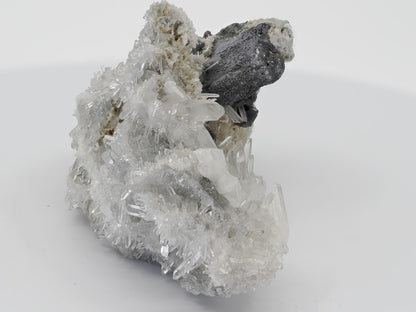 Isometric view of the full mineral specimen highlighting the structural balance of the galena base and quartz needles.