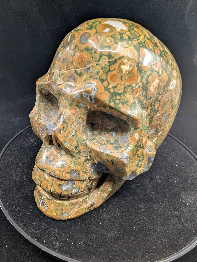 Angled left view of Cambaba Jasper Skull showing green orbicular patterns