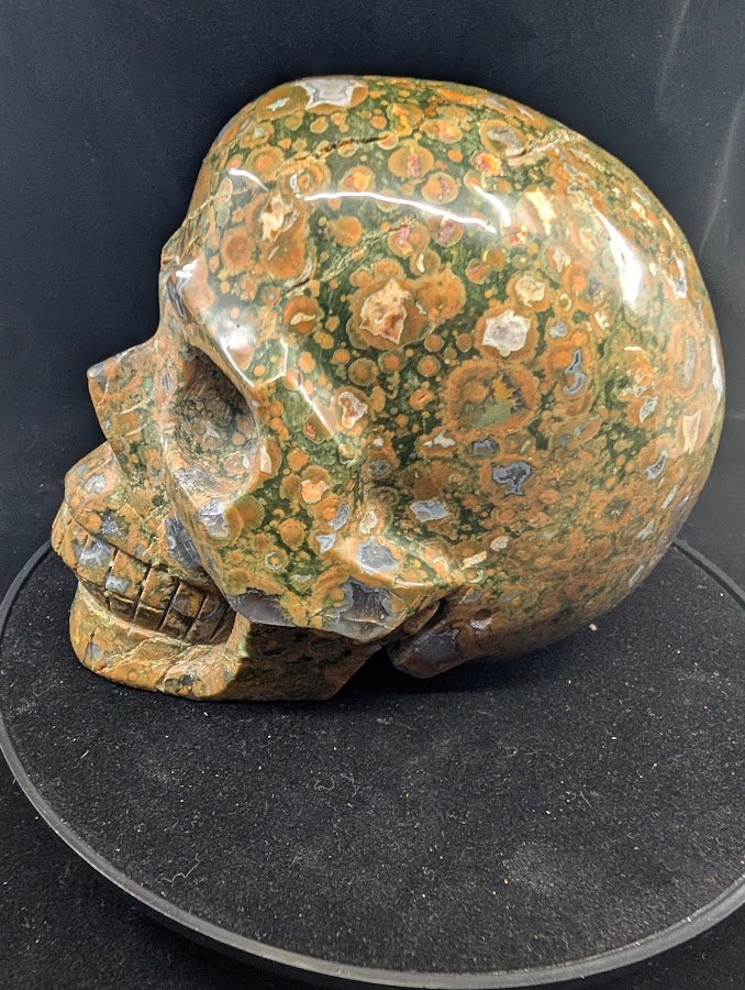 Back of skull with dense stromatolite orbs in deep green matrix