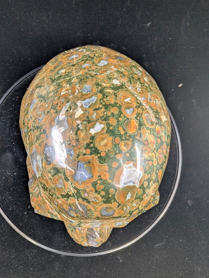 Top view of Cambaba Jasper Skull with crisp orbicular definition