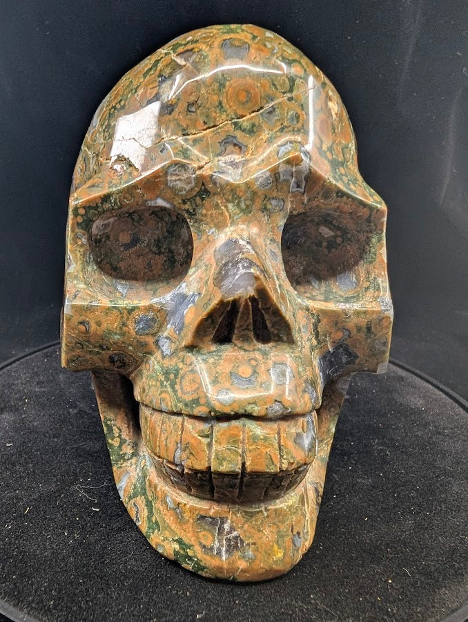 Top view of Cambaba Jasper Skull with crisp orbicular definition