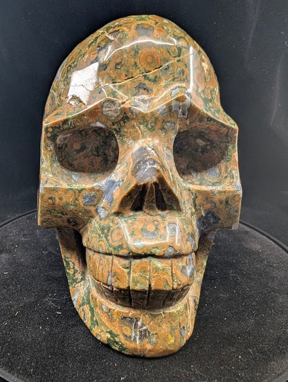 Top view of Cambaba Jasper Skull with crisp orbicular definition