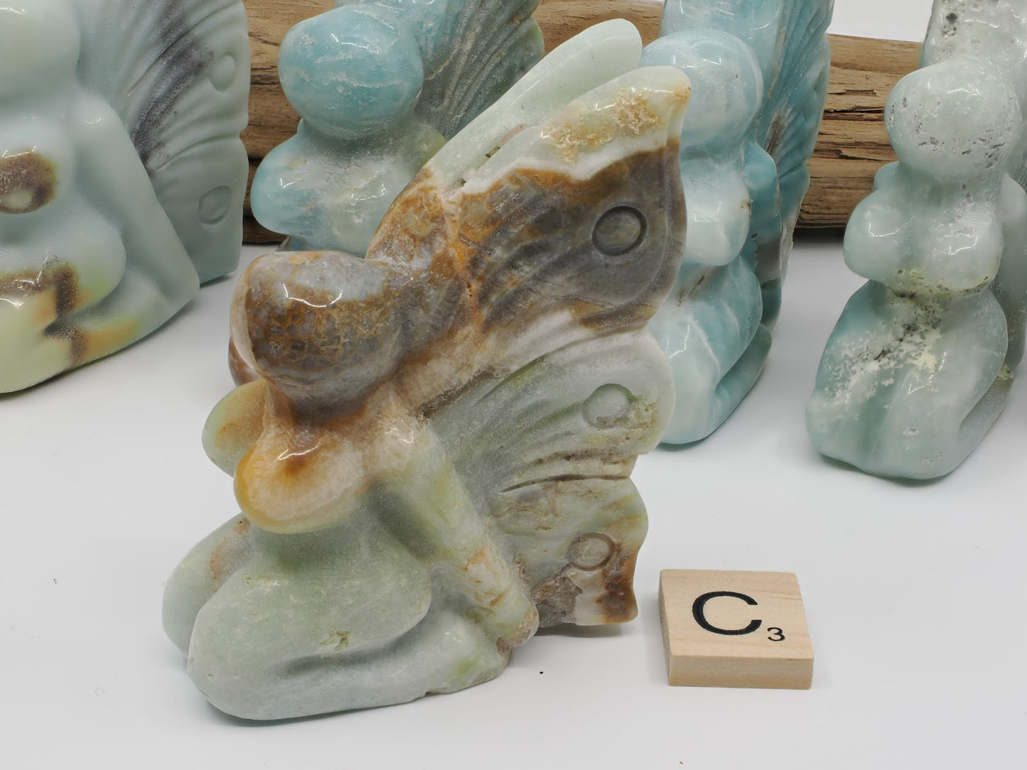 Caribbean Calcite carving C featuring high-contrast chocolate brown aragonite tiger banding.