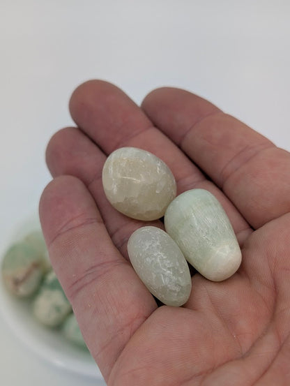 Caribbean Calcite tumbled stones shown in hand for scale