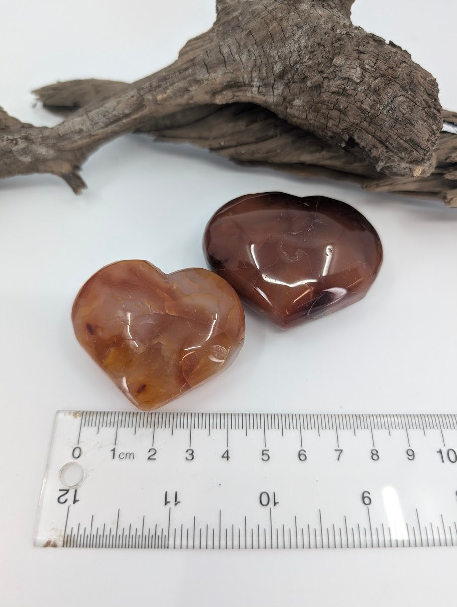 Top down view of two polished Carnelian hearts showing banding.