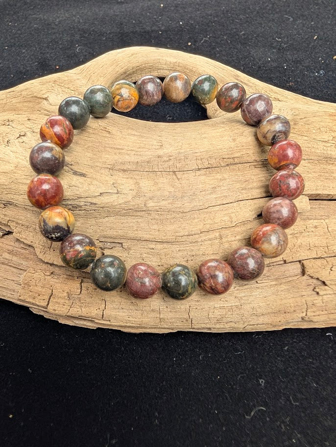 8mm polished Cherry Creek Jasper beaded stretch bracelet resting on a driftwood display, showing multi-coloured earthy tones.