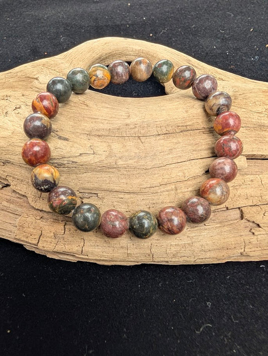 8mm polished Cherry Creek Jasper beaded stretch bracelet resting on a driftwood display, showing multi-coloured earthy tones.