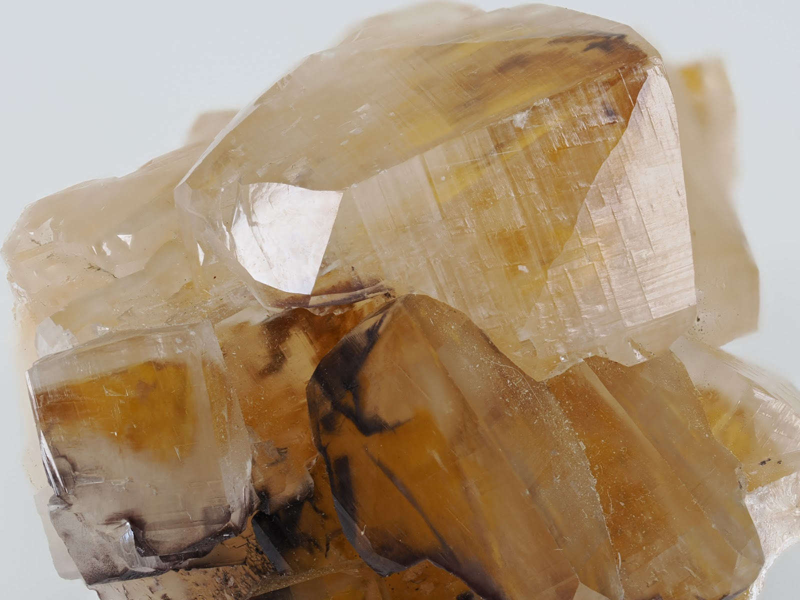 Macro detail of internal Chocolate-colored phantoms and iron-rich zoning within translucent Calcite.