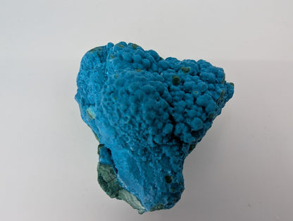 Congo Chrysocolla with Malachite – Botryoidal Specimen with Exposed Veins & Growth Rings (434g) - Legacy Crystals and Minerals