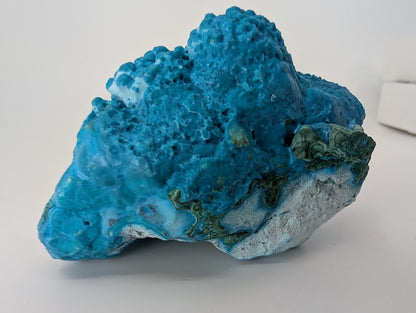 Congo Chrysocolla with Malachite – Botryoidal Specimen with Exposed Veins & Growth Rings (434g) - Legacy Crystals and Minerals